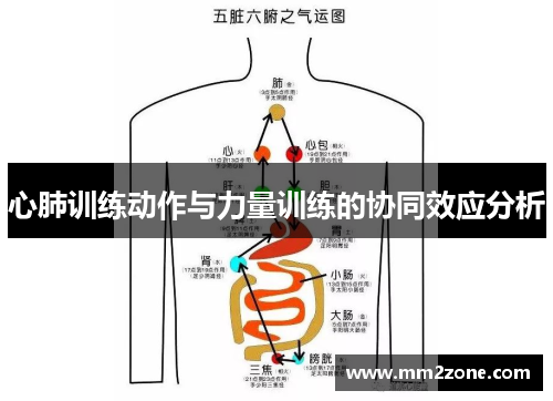 心肺训练动作与力量训练的协同效应分析